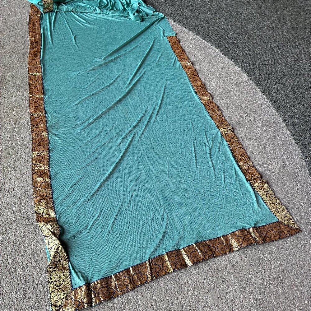 Muted Aqua Chiffon Sari with Blue and Gold Border
